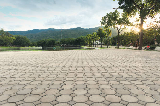 Best Custom Driveway Pavers  in Waynesboro, VA