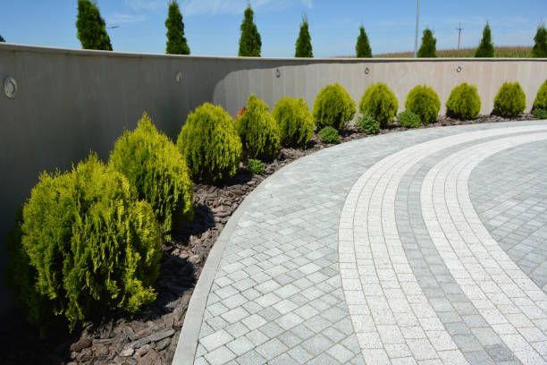 Best Driveway Pavers Cost  in Waynesboro, VA